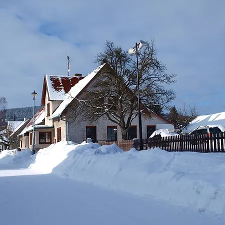 Snezenka Destne v Orlickych horach