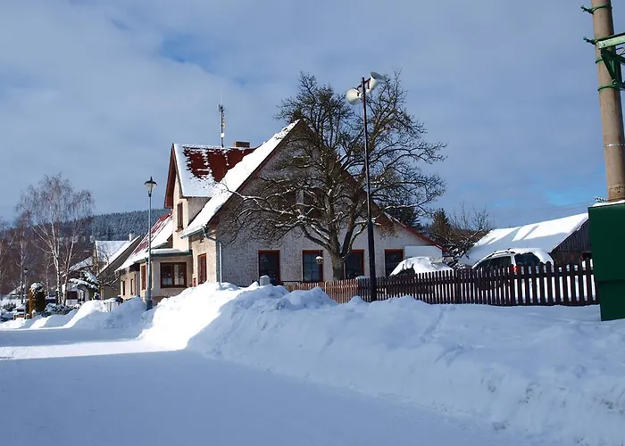 Snezenka Destne v Orlickych horach